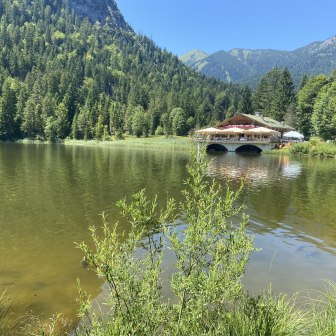 Pflegersee Sommer