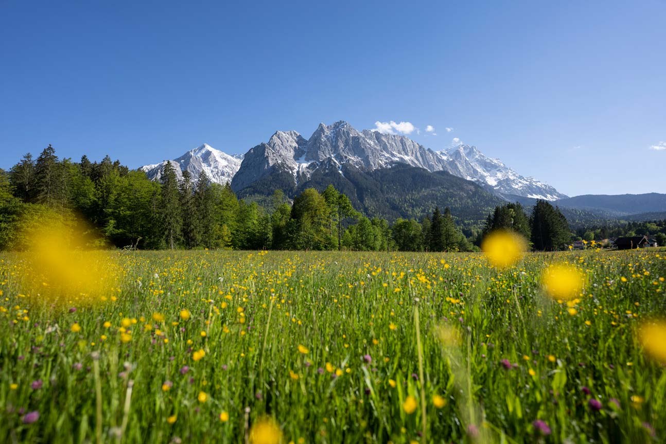 Frühjahr im zugspitzdorf, © Zugspitzdorf Grainau - Ehn