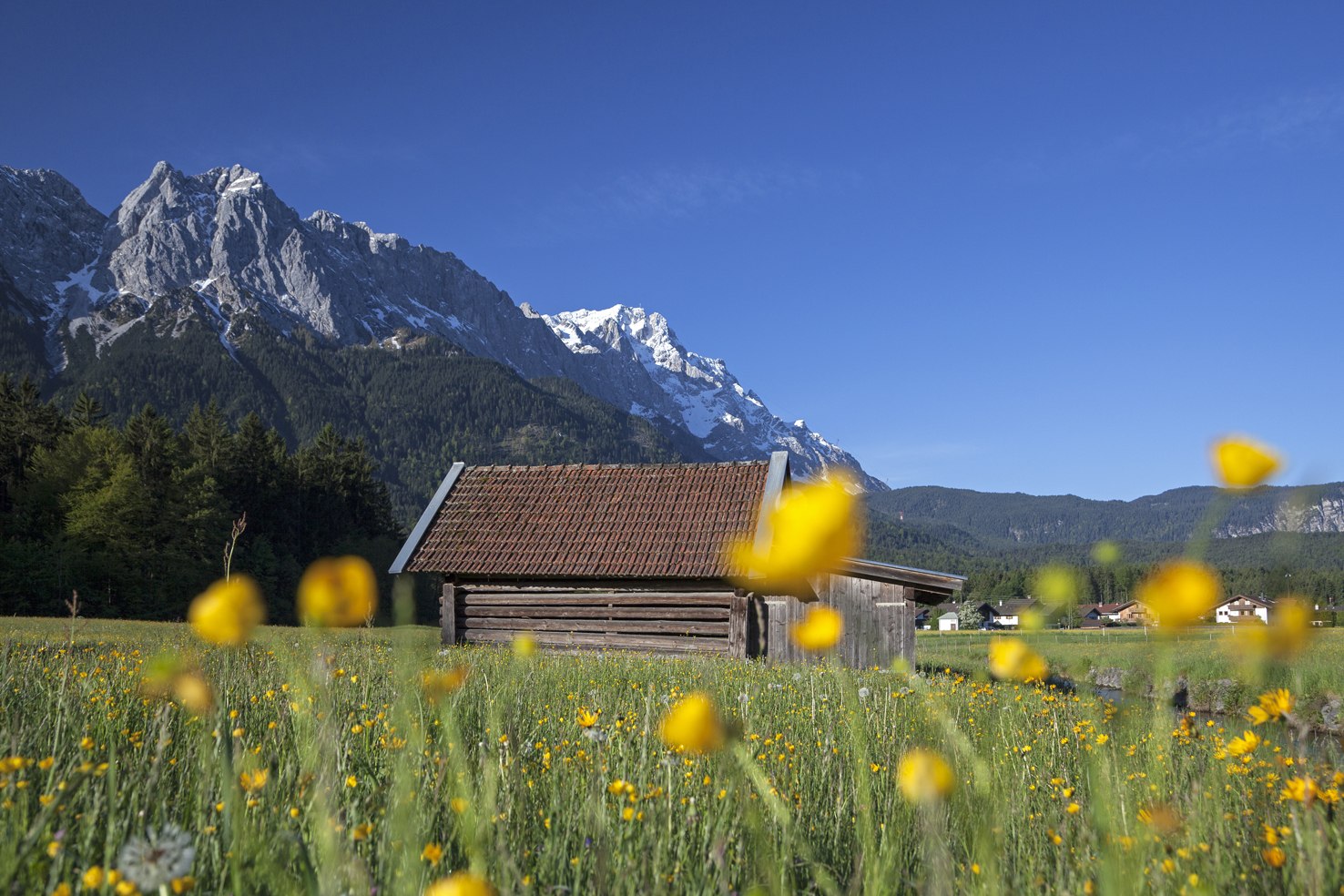 Frühjahrsgenuss im Zugspitzdorf Grainau, © Zugspitzdorf Grainau - Bäck