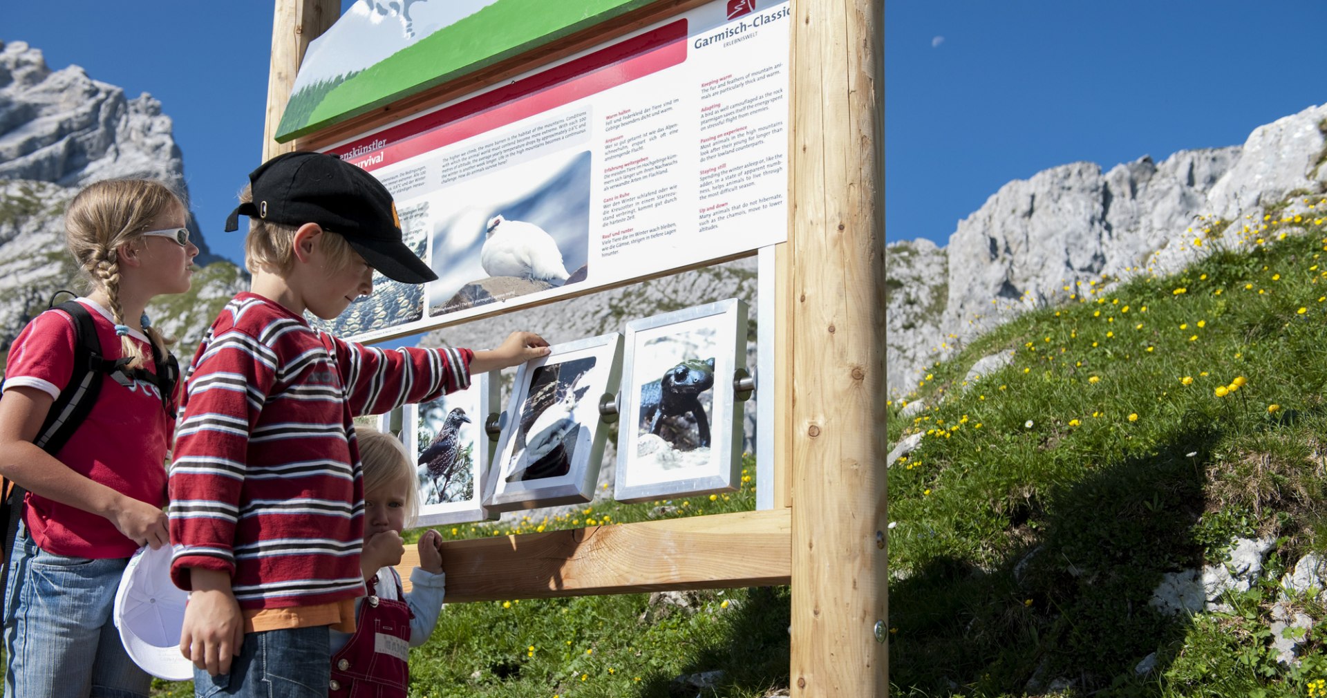 Alpspitze, kids, Garmisch classic, summer, © Bayerische Zugspitzbahn - Foto Lechner