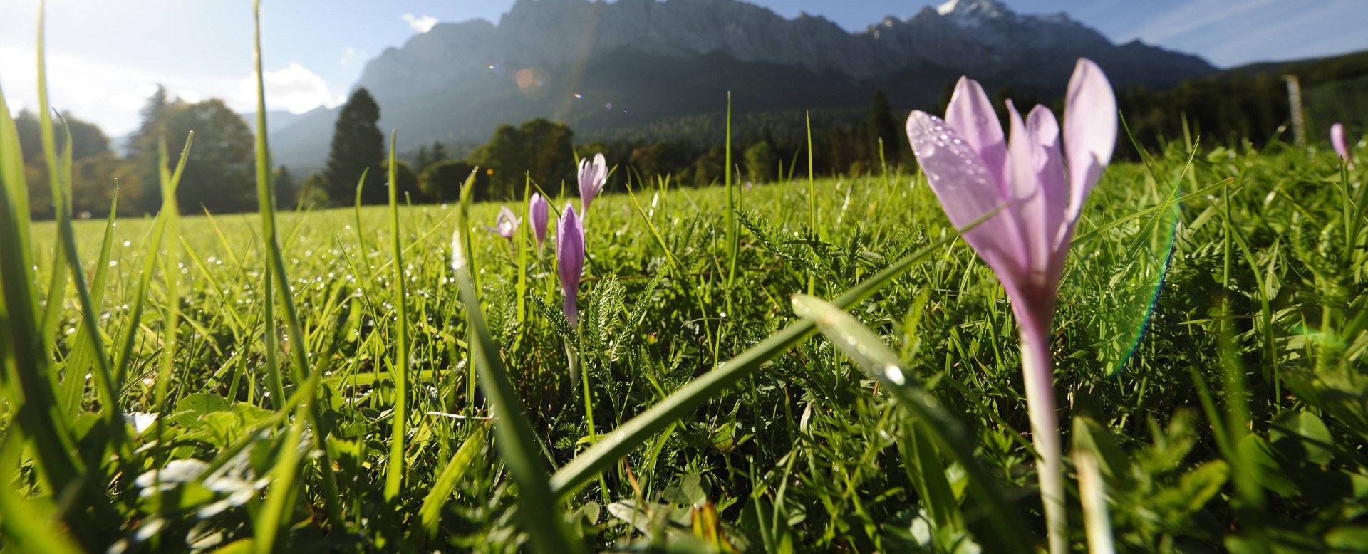 Frühjahrserwachen in Grainau, © Zugspitzdorf Grainau - Ehn