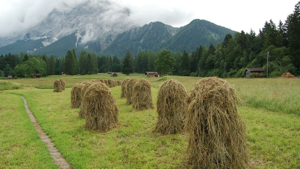 1102514.jpg, © Zugspitz Arena Bayern-Tirol