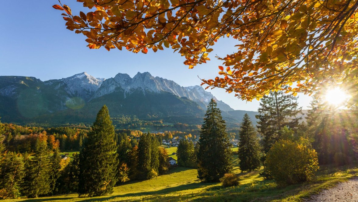 Höhenrain herbstlich©Tourist-Information Grainau-W (2).jpg, © Wolfgang Ehn