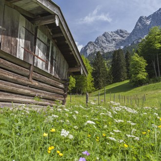 Zugspitzdorf Grainau - Frühajhrsgenuss, © Zugspitzdorf Grainau - Bäck