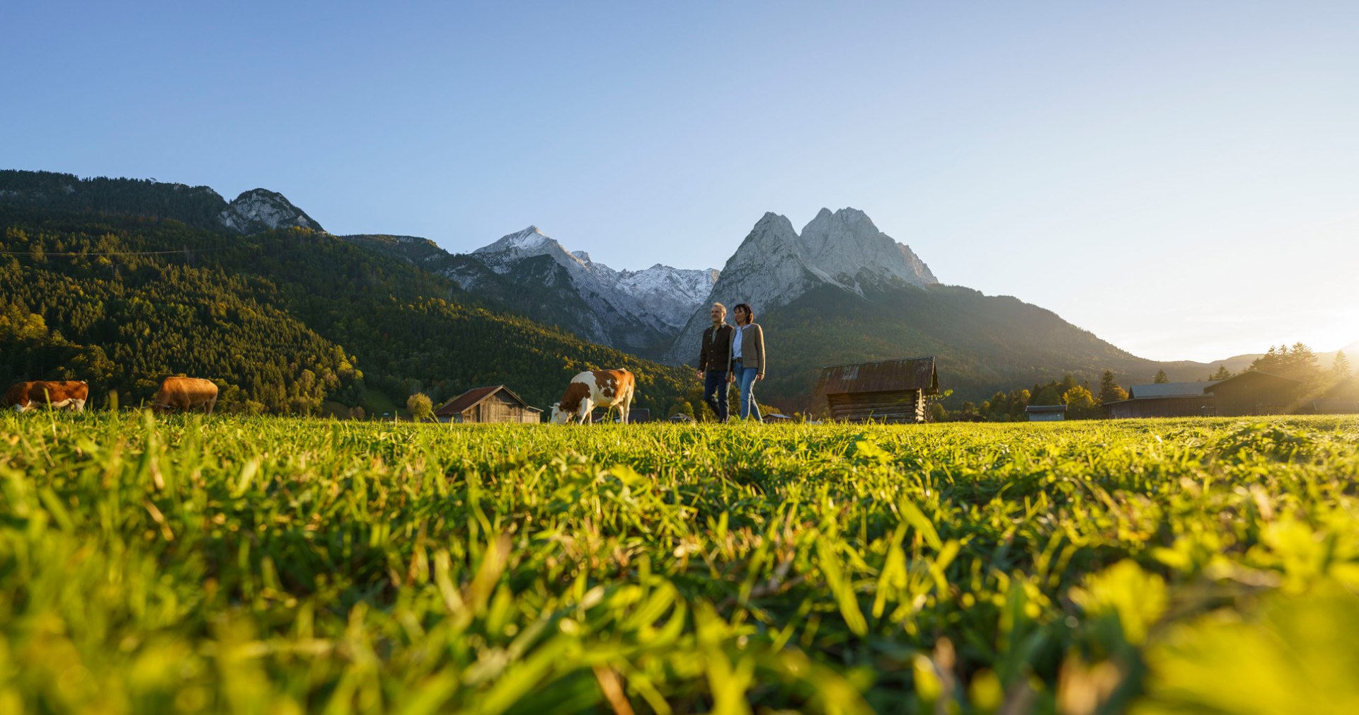 Paar spaziert in Grainau mit Kuh, © Tourist Information Grainau –W.Ehn